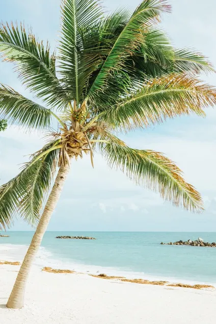 Maison privée avec accès à la plage, dans la plus belle des Florida Keys - Image 1