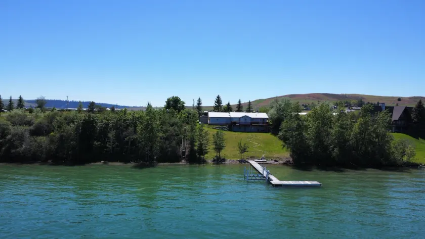 Die Bisons am Flathead-See - Image 1