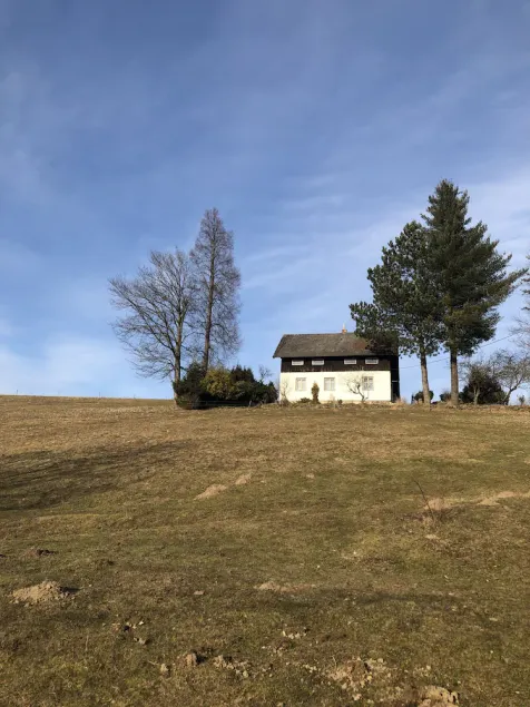 křivá voda - Image 1