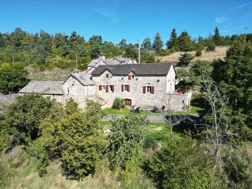 Les genévriers à conques - Image 1