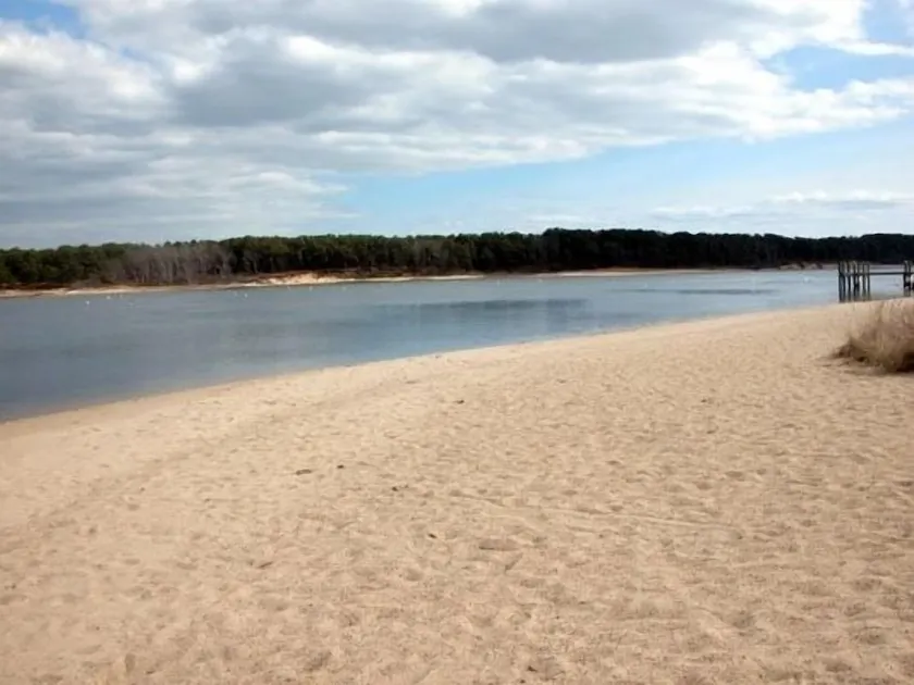 New Cape House skridt til stranden i East Falmouth & PET VENNLIG! - Image 1