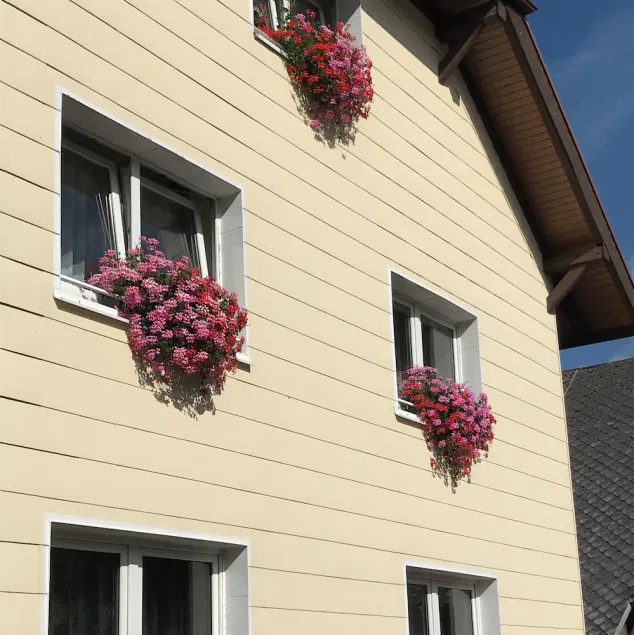 Comfortable apartment in the middle of the southern Black Forest - Image 1