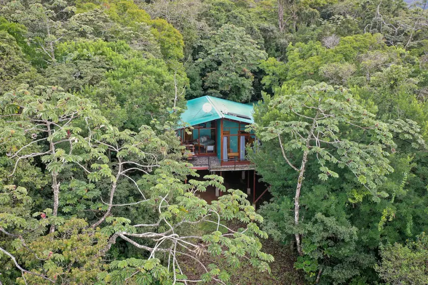 Above the Gulf House: Spectacular Ocean View! - Image 1