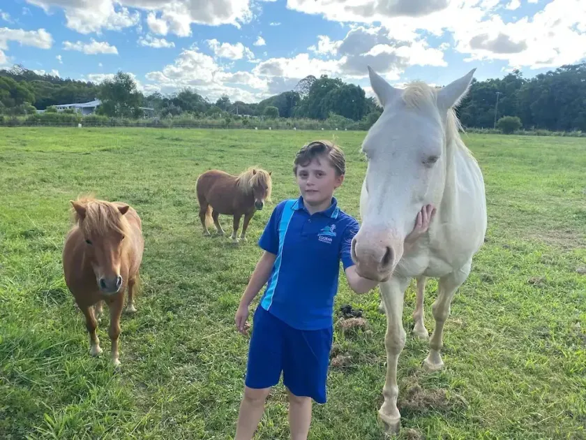 Lime Lodge Farmstay-Families-Horse Riders-Nature - Image 1