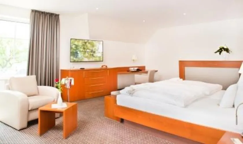 Suite J��nior para Ocupação Individual - Hotel Floresta de Teutoburgo GmbH - Image 1
