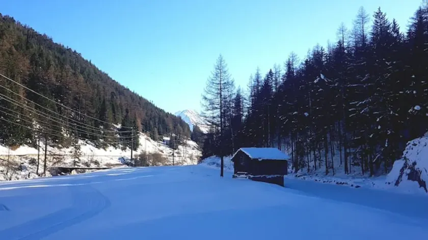 Alleinstehende, idyllische Wohnung an guter Lage! - Image 1
