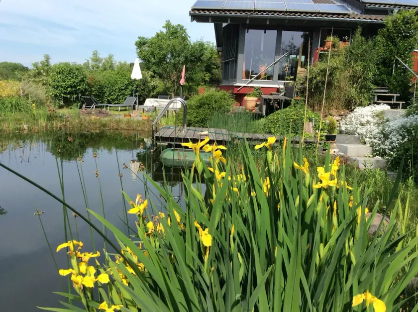 Vacation close to nature - Image 1