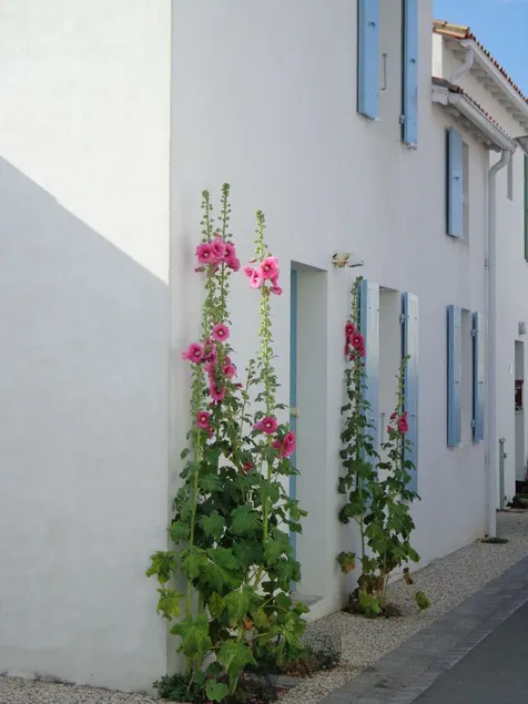Smukt hus klassificeret 3 *** stil retais - Image 1