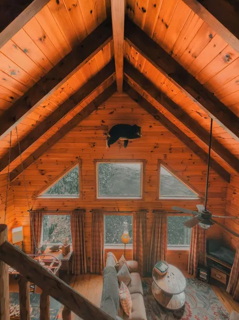 30 min from Blacksburg - Bear Foot Cabin on Walker Creek  - Image 1