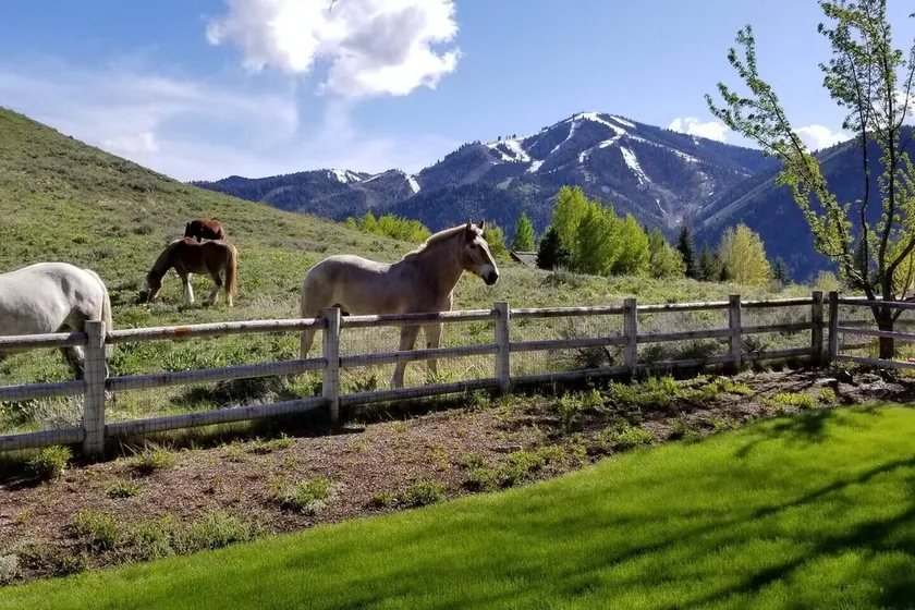 The Perfect Sun Valley Vacation Home - Image 1