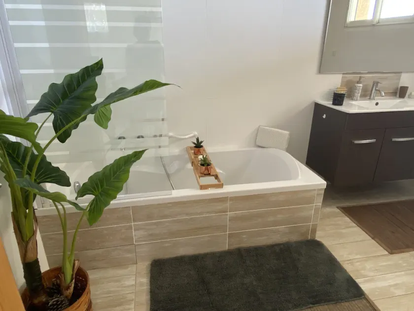 Villa pieds dans l'eau - Accès à une SUPERBE crique - Jacuzzi (en option) - Image 1