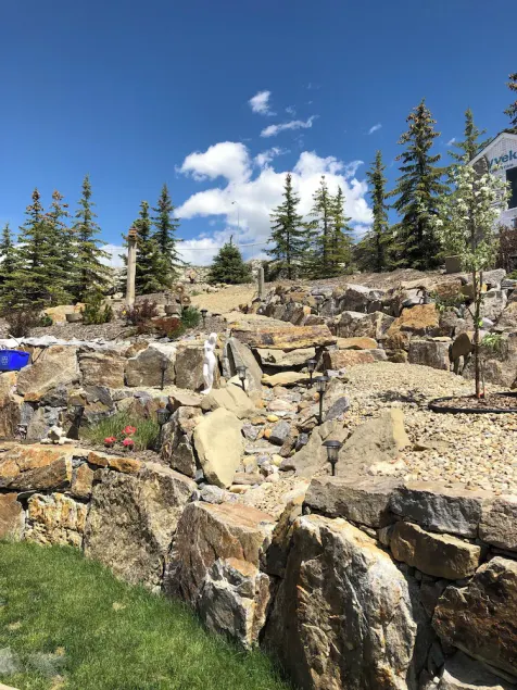 Rocky Mountain View Bed & Breakfast - Image 1