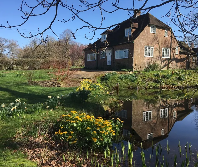 Charming detached cottage in peaceful, rural setting with woodland & ponds - Image 1