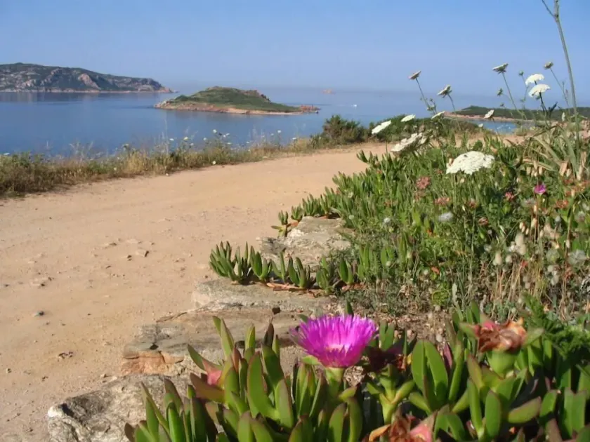 Asfodelia: vacanza, mare e relax in elegante appartamento con Wi-Fi. - Image 1