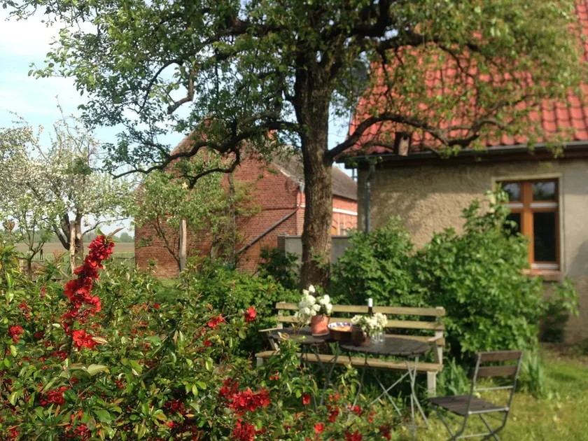 Vacation room Apfelbaum at the Hollerhof-Oderbruch - Image 1