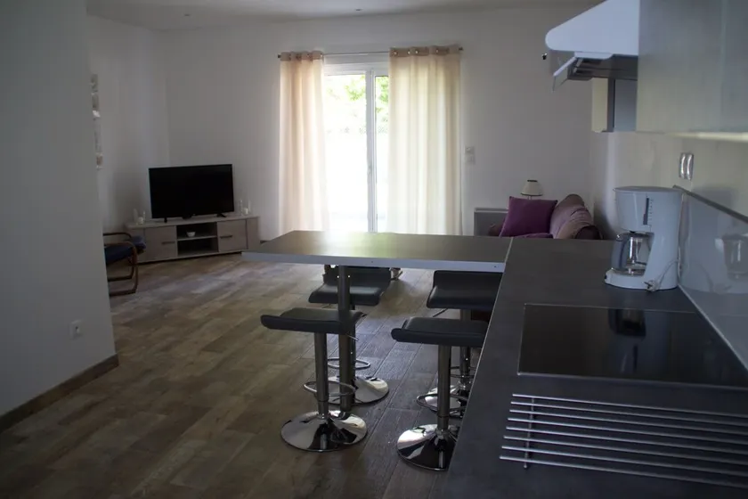 Charming apartment T3 (2 bedrooms) patio and terrace - Image 1