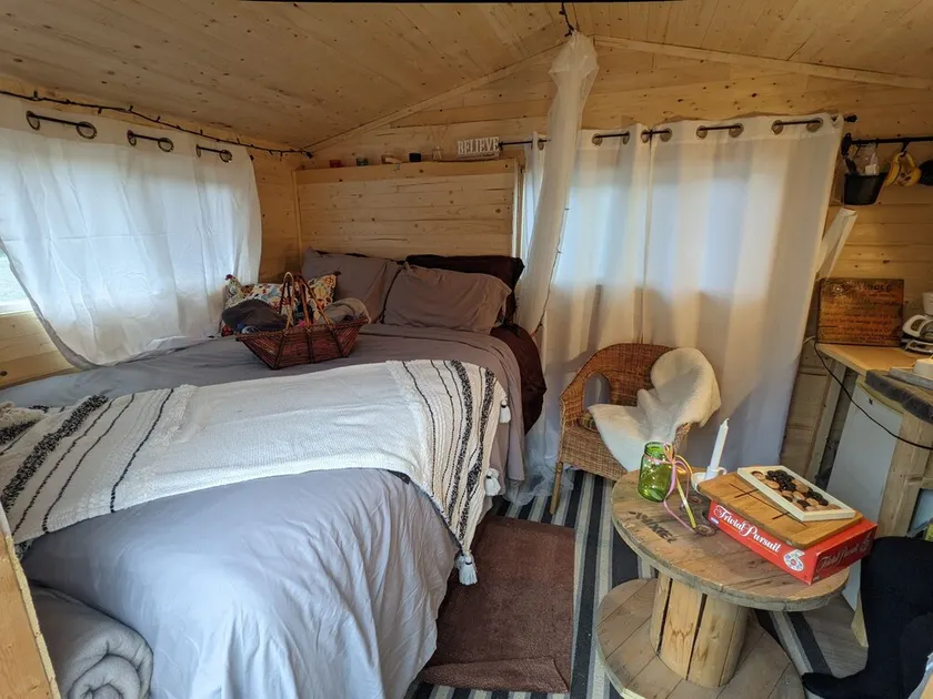 Sleep with Alpacas in Port Hope, an hour away from Toronto - Image 1