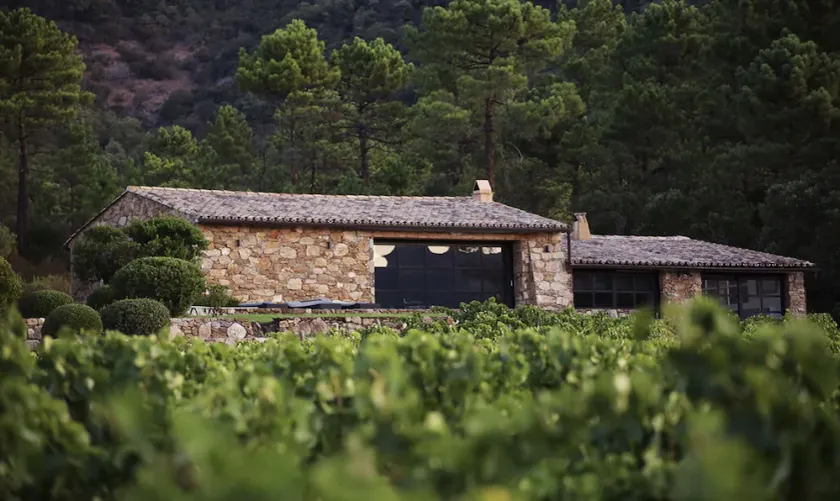 Bergerie dans les vignes - Image 1