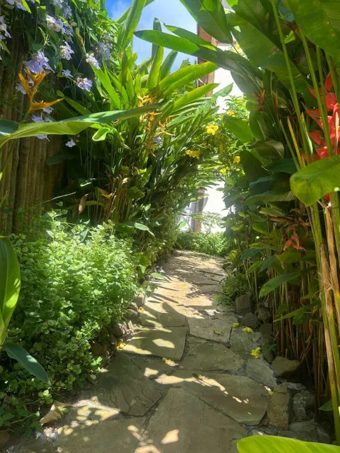 VILA BETA - Image 1