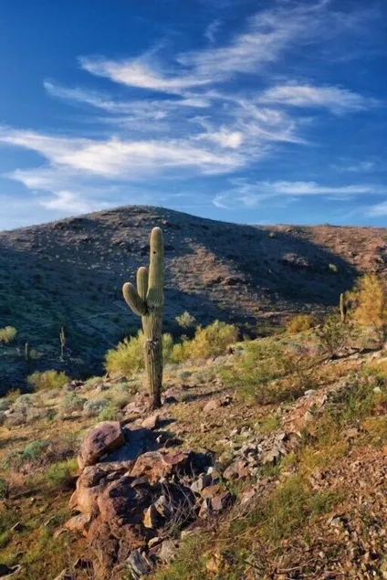 South Mountain Preserve 3BR Apartment - Image 1