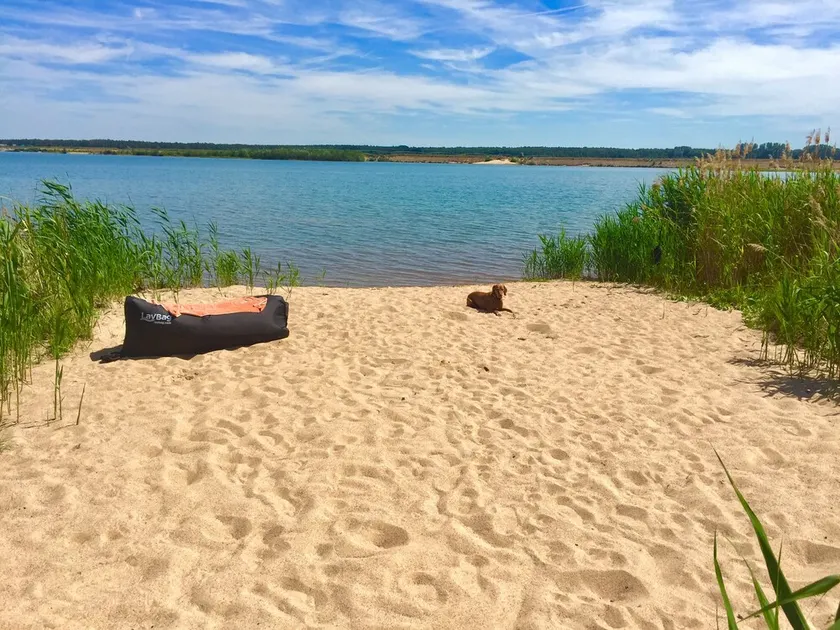 Holiday at the lake near Leipzig / Sauna- Cozy holiday home on the private beach - Image 1