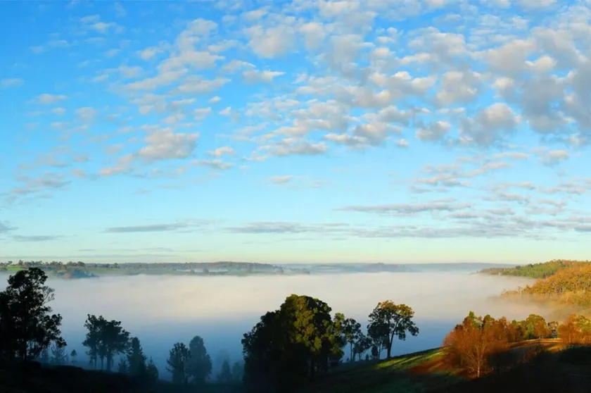 Serene Pet-Friendly Escape with Stunning Views - Image 1