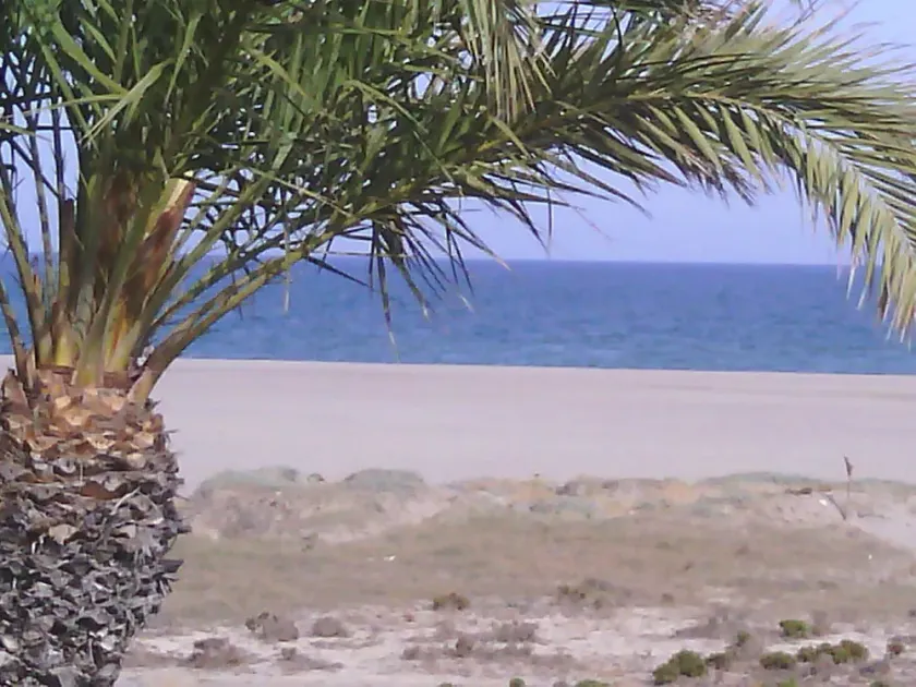 Lejlighed ved havet - Image 1