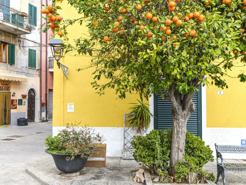 Il Marinaio by Interhome - Image 1