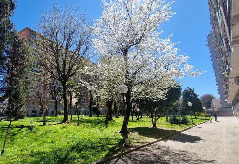 Giardino sul Naviglio - Image 1