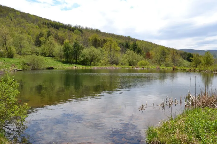 Mountain Top Retreat, 116 private acres - Image 1