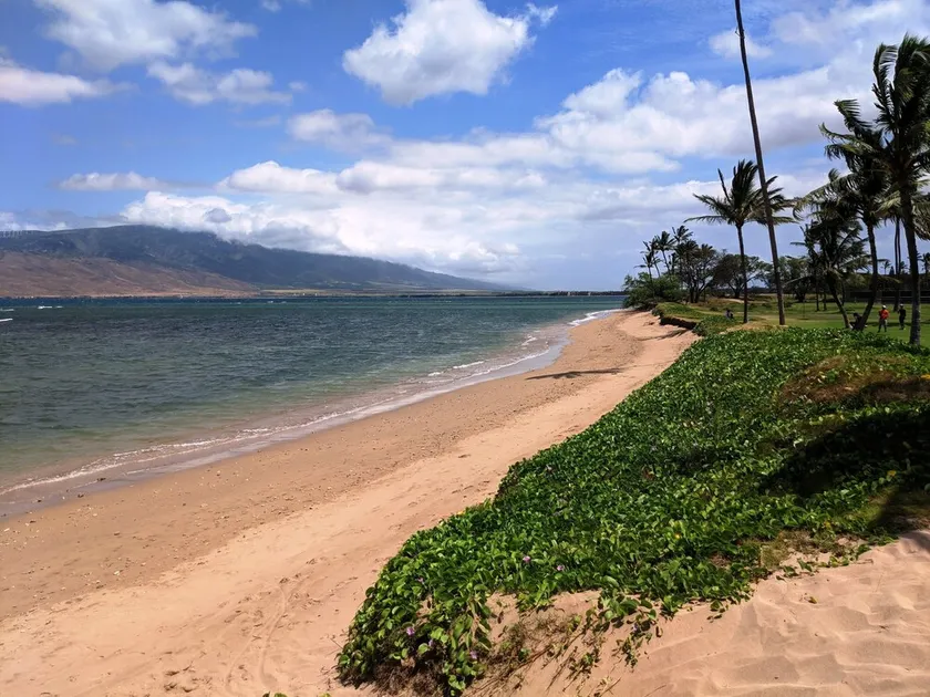 Sommer Special!  Maui Sunset 403B ~ Dejligt og føles som hjemme! - Image 1