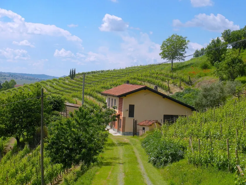 FARMHOUSE IN THE MIDDLE OF THE VINEYARDS IN NIZZA MONFERRATO - Image 1