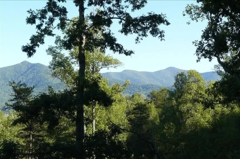 Newer Cabin with Mountain Views, Near Lakes, Golf - Image 1