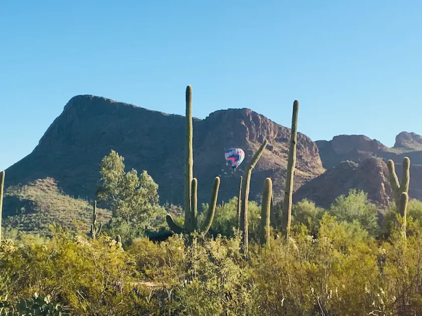 Bohemian desert sanctuary with stunning views! - Image 1