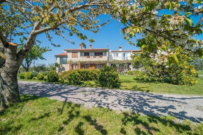 Apartment with Terrace in Filipana - Image 1