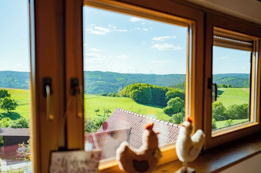 Gruppentreffen auf dem Landhof Rothenberg: Zusammensein in ländlicher Umgebung - Image 1
