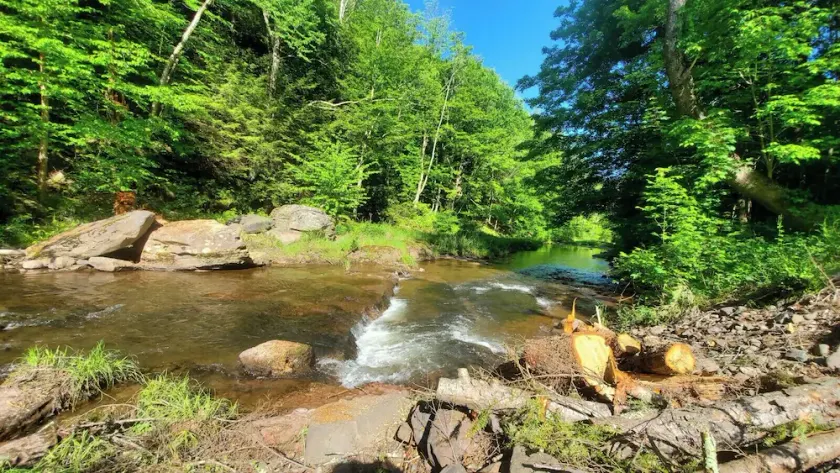 Près des pistes de ski à Windham et Hunter, tyrolienne, randonnée, lacs, plus de 20 restaurants - Image 1