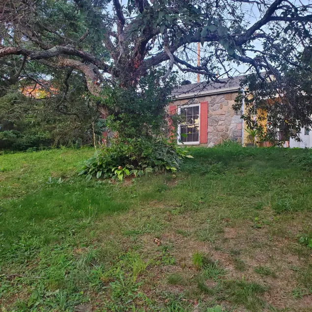 Beautiful cottage in the countryside. - Image 1