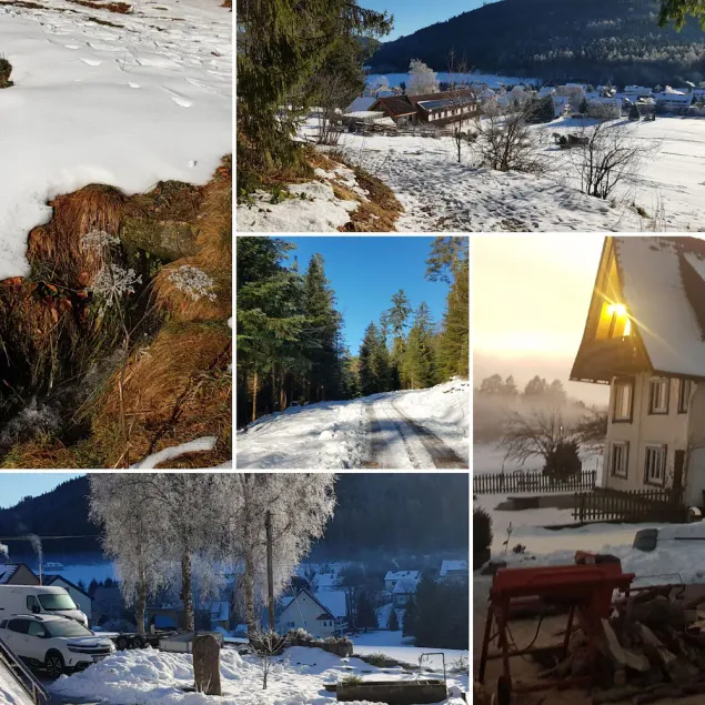 Sunshine - the power of nature and the sauna - Image 1