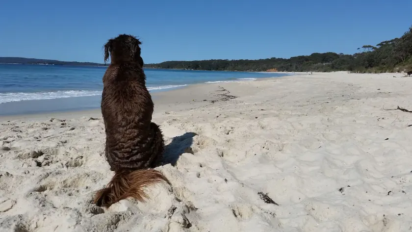 Waterside, Pet Friendly Beach House - Image 1