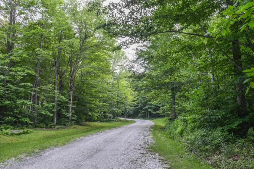 Wildlife Retreat in the Forest - Image 1