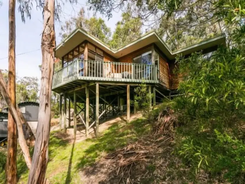 Yaringa - Retreat in the trees - Image 1