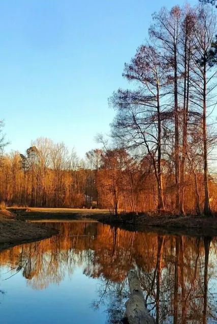 Great location. covered patio/5 minutes away from restaurants stores boat launch - Image 1