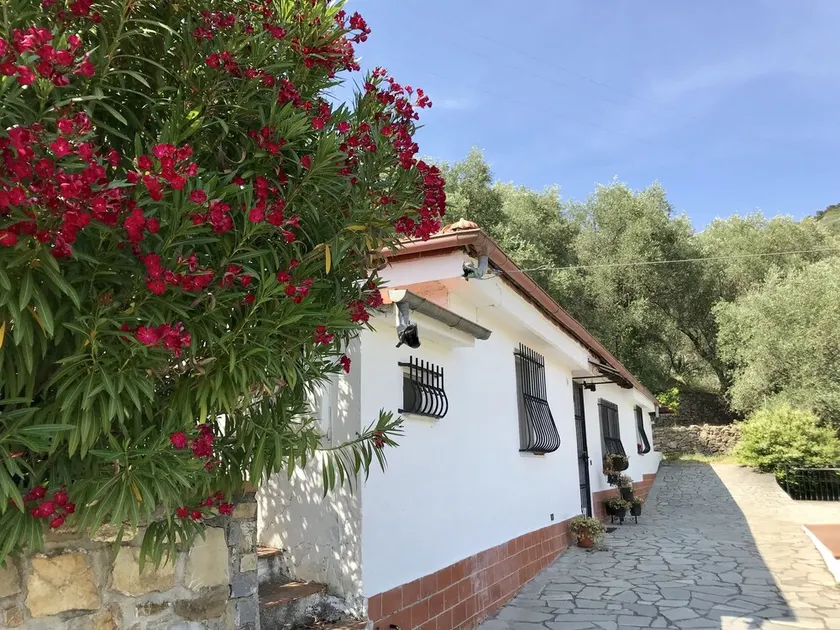 Casa Uliveto - Image 1