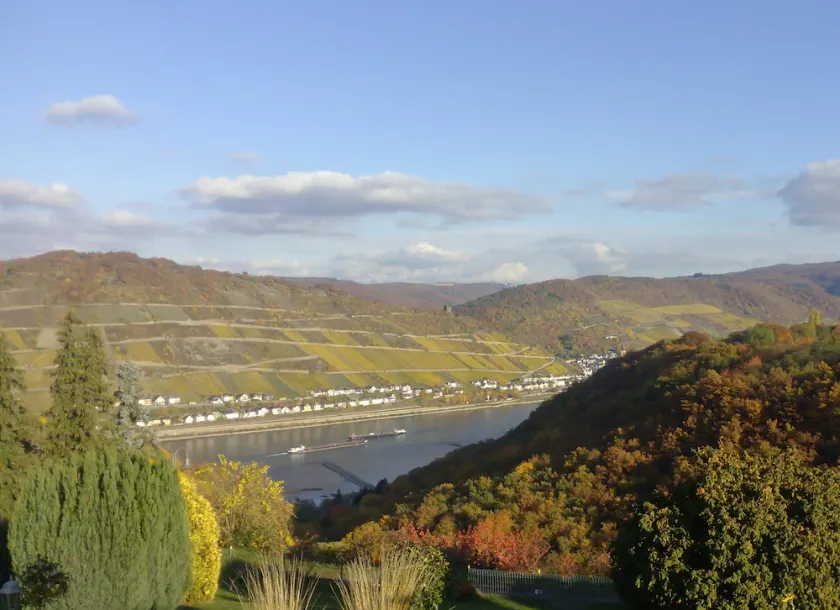 Fantastic view of the Rhine, high altitude of the Rhine above Bacharach, up to 6 people - Image 1