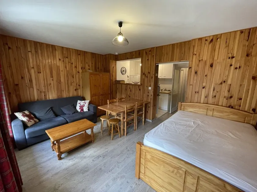 Renovated studio in Le Lioran, pets allowed - Image 1