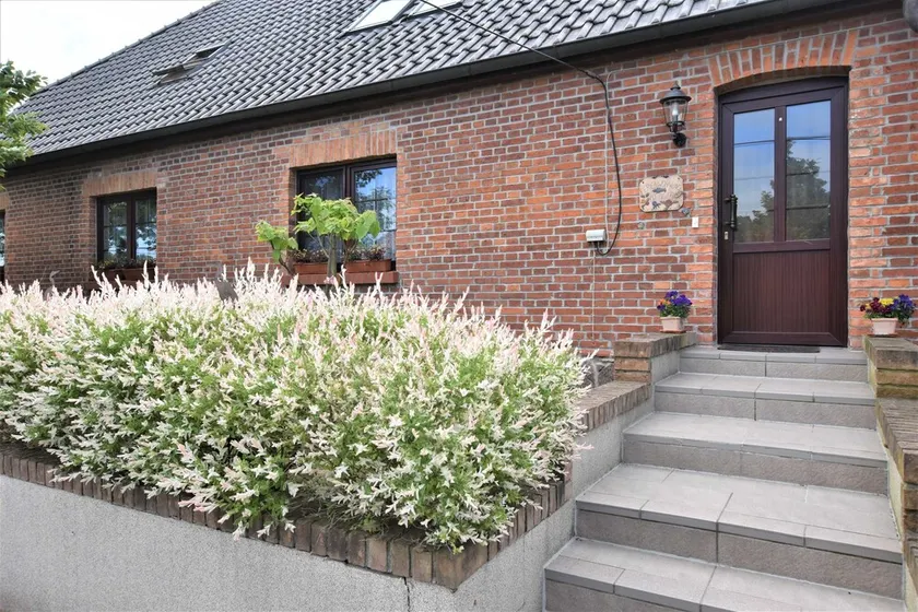 Reihenferienhaus mit Kamin und Terrasse im Ostseeland OFC 11 - Image 1