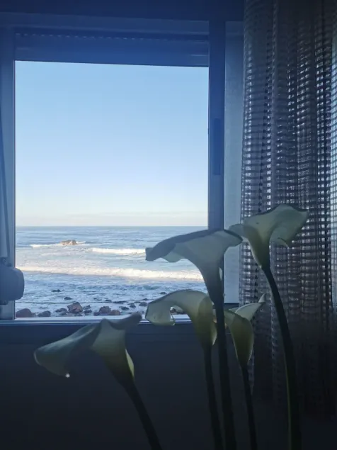 BEAUTIFUL APARTMENT ON THE SEA OF THE SEA. - Image 1