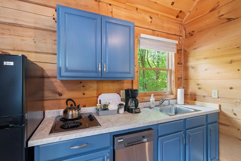 Blue RIdge Pkwy, Jefferson Sleeps 4 - mult. cabins avail. contact us for groups - Image 1