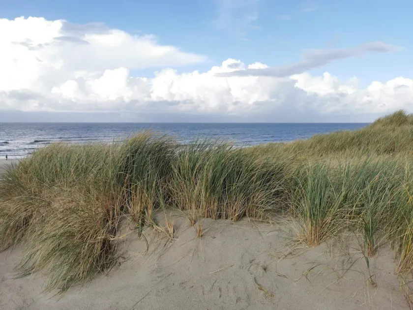 4 person holiday home in Henne - Image 1